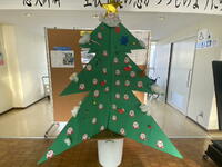 １２月１１日　クリスマスツリー完成